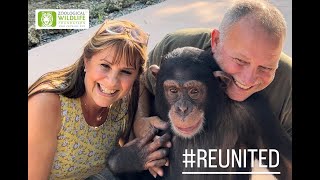 6 year old Chimpanzee reunion with human caretakers (Full) by ZWF MIAMI 126,770 views 1 year ago 2 minutes, 39 seconds