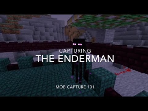 Minecraft: the Smaller Enderman Cage : 9 Steps - Instructables