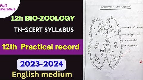 12th bio zoology practical record english medium  2023-24 #12thbiology #practical #record