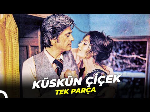 Küskün Çiçek | Türkan Şoray - Cüneyt Arkın Eski Türk Filmi Full İzle
