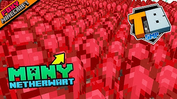 Nether Wart Farm | Truly Bedrock [1-39] | Minecraft Bedrock Edition SMP (MCPE / MCBE)