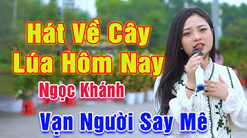Hát Về Cây Lúa Hôm Nay - Vạn Người Nghe Say Mê Giọng Ca Em Gái Xinh Đẹp Hát Đường Phố - Ngọc Khánh