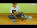 Monkey Play Toys | Adorable Kako Sit Look Elephant Train Toy Moving