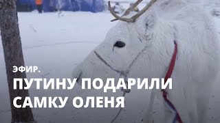 Путину подарили самку оленя. Эфир