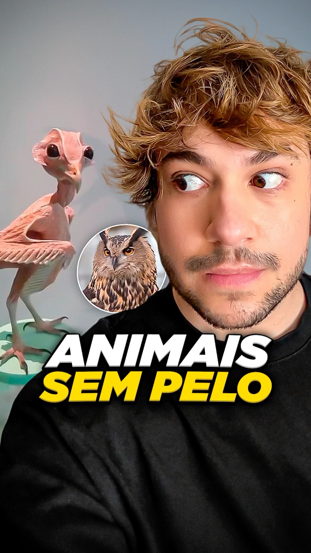 animais sem pelo #livedobrino #humor #MundinhoBrino