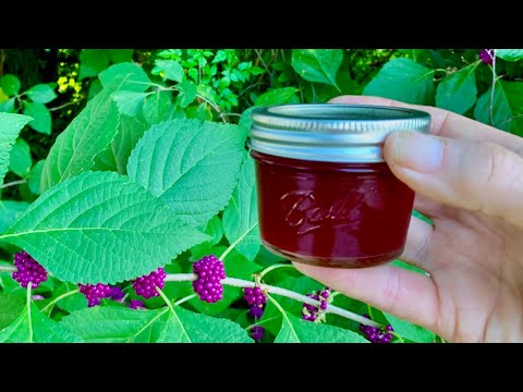 Video: Jelly Krim Asam Berry