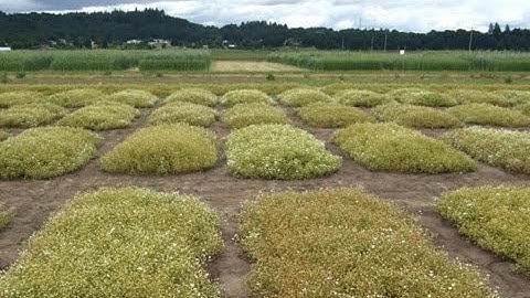 Introduction to the Augmented Experimental Design Part 1 of 8