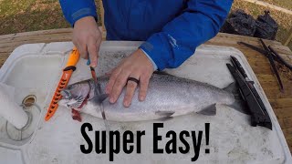 HOW TO FILLET A STEELHEAD (FOR BEGINNERS)