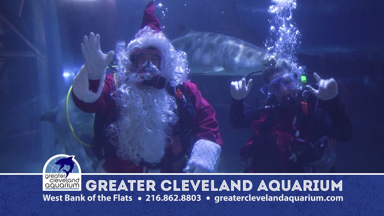 Cleveland Now Greater Cleveland Aquarium Nov 2020 YouTube