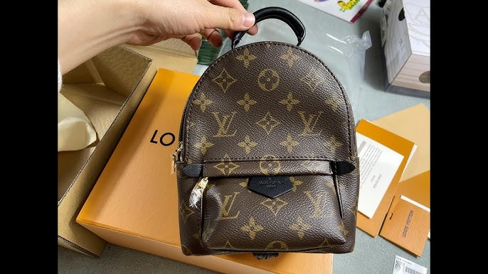 WHY I'M NOT BUYING THE NEW LOUIS VUITTON NANO SPEEDY & WHY THE