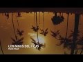 Los Ninos Del Club - Hush Hush (Too Shy) [Official Video HD]