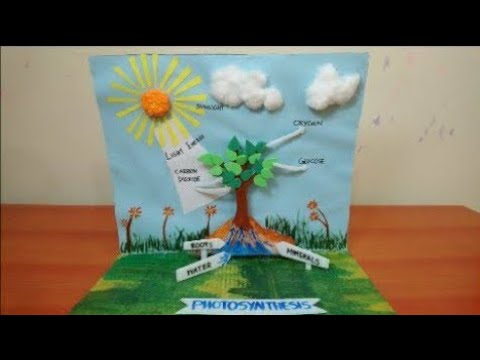 Photosynthesis Model In Plants Science Project 3d Model For Students The4pillars Youtube