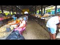 Largest Dry Fish Market in Sri Lanka