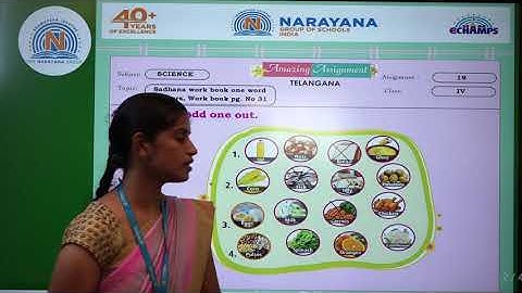 3RD OCT TS CLASS IV SCIENCE AMAZING ASSIGNMENT KEY