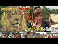 ★爆笑！絶叫！下ネタ全開の旅番組！in 那須サファリパーク【カブトムシゆかり】【い…