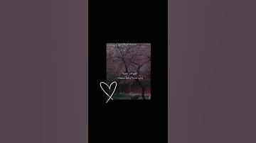 "واستعينوا بالصبر والصلاة "قران كريم بصوت عبد الرحمن مسعد 🖤🥀