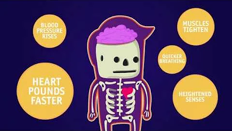 Stress 101 - Understanding Stress and How to Manage It - HealthTexas Medical Group