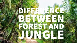 10 DIFFERENCES BETWEEN FOREST AND JUNGLE