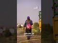 من سنابل القمح الى الفريكة موسم الخير في جنين
