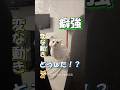 可愛すぎる猫の変な動きランキング #海外 #動物 #funnyanimals