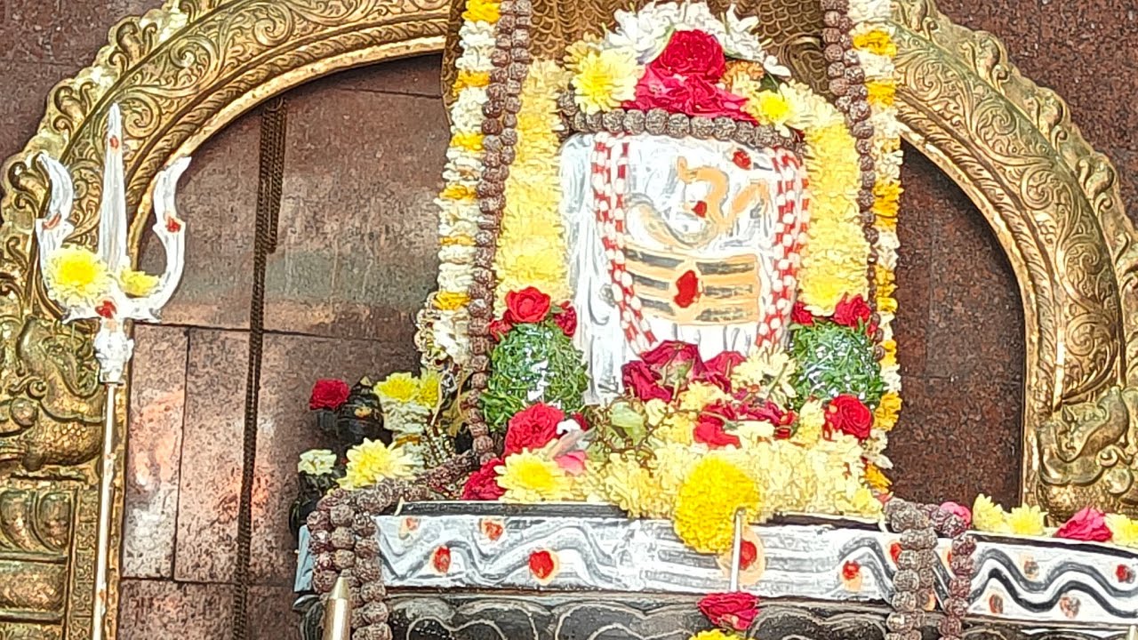 Radhesiba odia vlog  is live