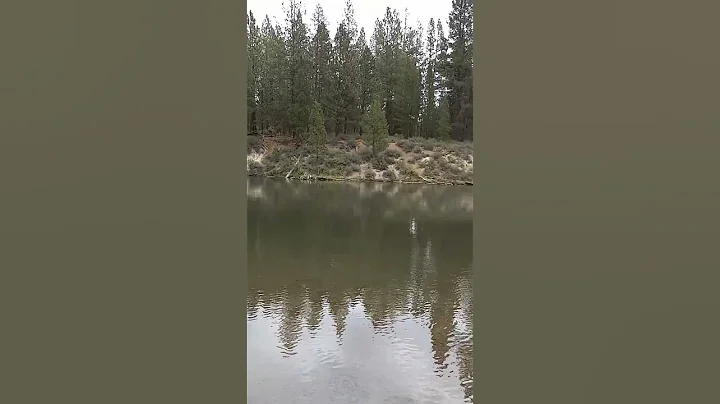 Linda  #lapine #oregon #shorts #life long friends ...