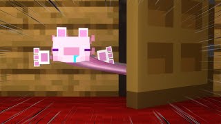 Chipi Chipi Cat Axolotl!!! & Parotter Minecraft Funny Animations