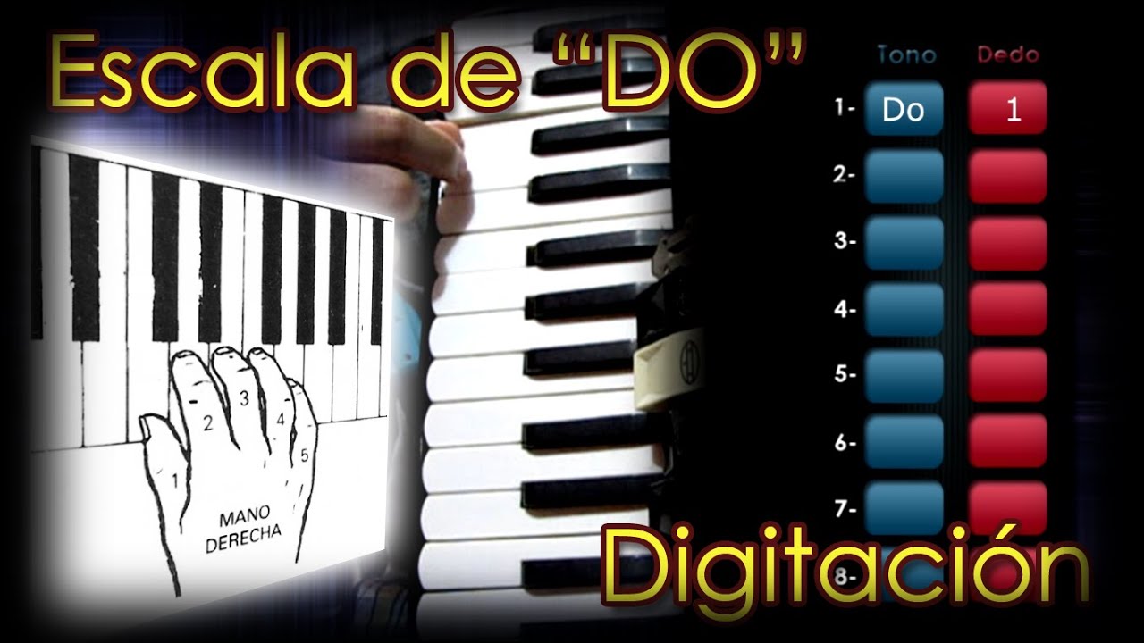 Escala de DO digitación Acordeón de teclas (Metrónomo) YouTube