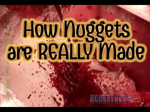 Download GN: How Chicken Nuggets are REALLY Made (Full Documentary)
