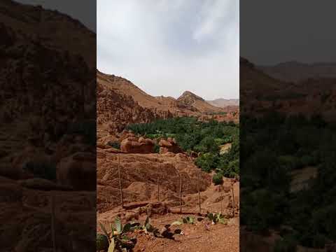 Les Pattes Des Singes Boumalen Dades اثار كفوف القردة ببومالن دادس 