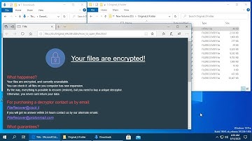 AppCheck Anti-Ransomware : GlobeImposter Ransomware (.FileRecover) Block Video