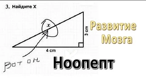 Ноопепт, Развитие мозга!