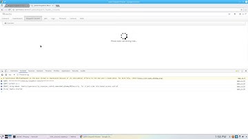 Hawtio console does not show details about a connection whereas stand-alone console does
