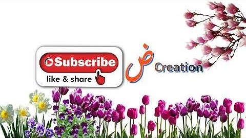Learn Quran Surah Al Adiyat ഖുർആൻ പഠനം സൂറ അൽ ആദിയാത് سورة العاديات