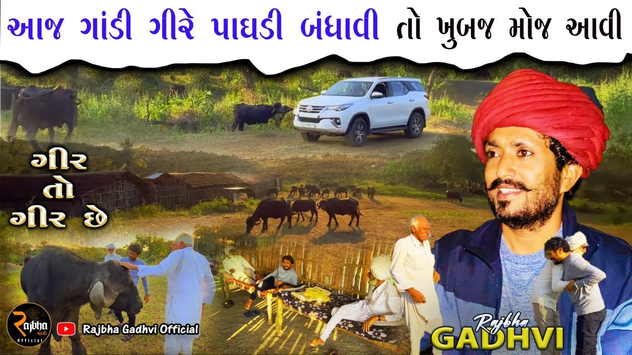 આજ ગાંડી ગીરે પાઘડી બંધાવી તો ખુબજ મોજ આવી || Gir Ni Mulakat || Gir Maldhari Life || Rajbha Gadhvi