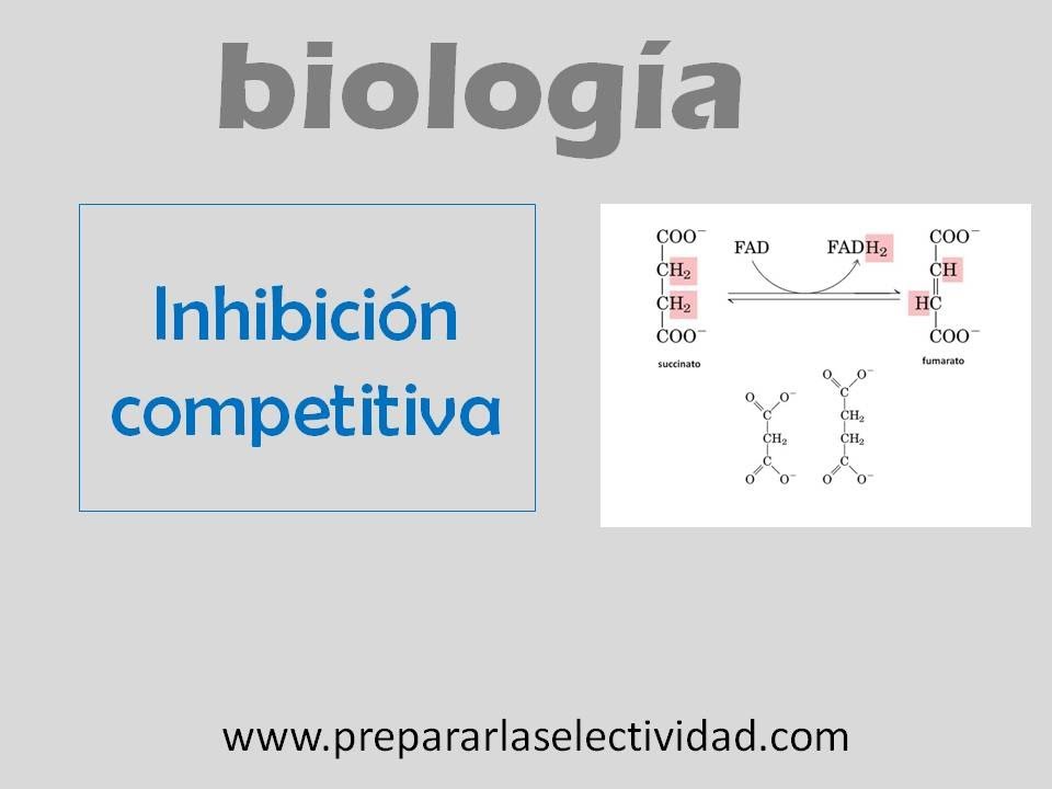 Inhibición competitiva YouTube