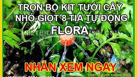 Giới thiệu bộ Kit tưới nhỏ giọt 8 tia tự động dùng điện FLORA tưới sân thượng, ban công