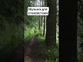 Эта музыка помогает расслабиться за минуты #антистресс #сон #relaxmusic