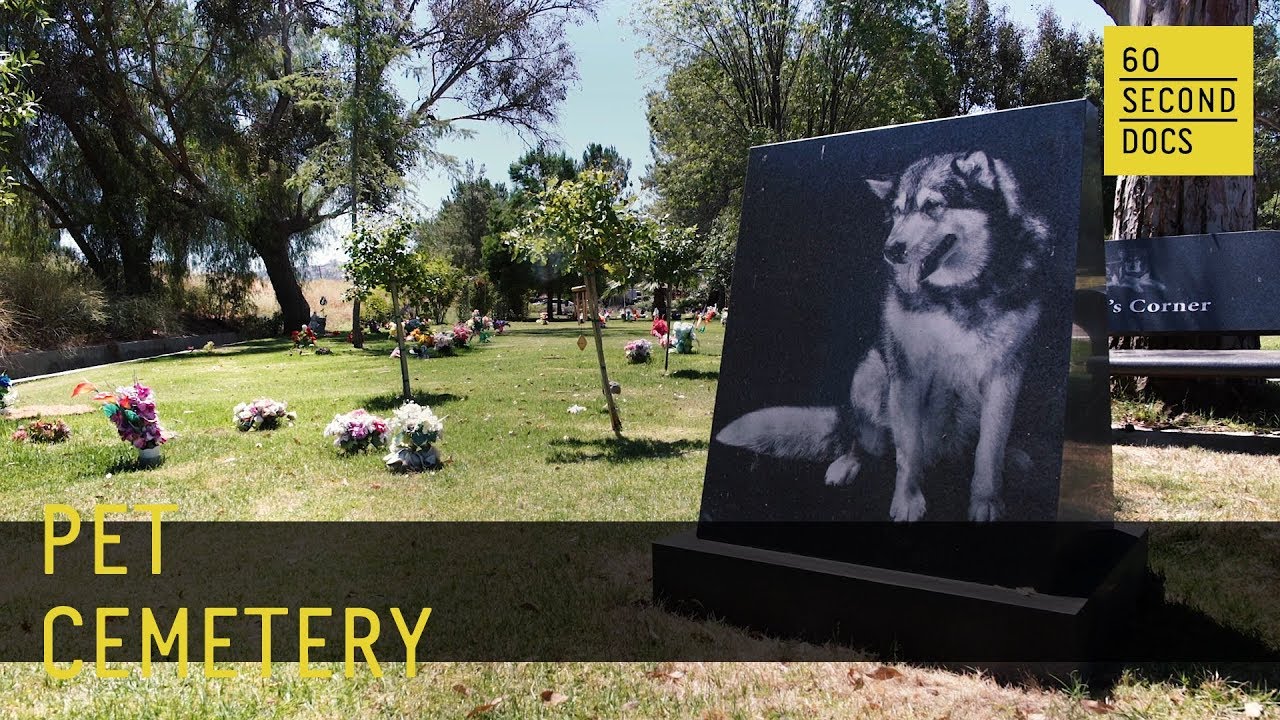 Pet Cemetery | Los Angeles Pet Memorial Park // 60 Second Docs - YouTube