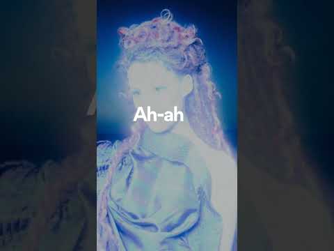 Absolutely No Audience Lyrics Chorus