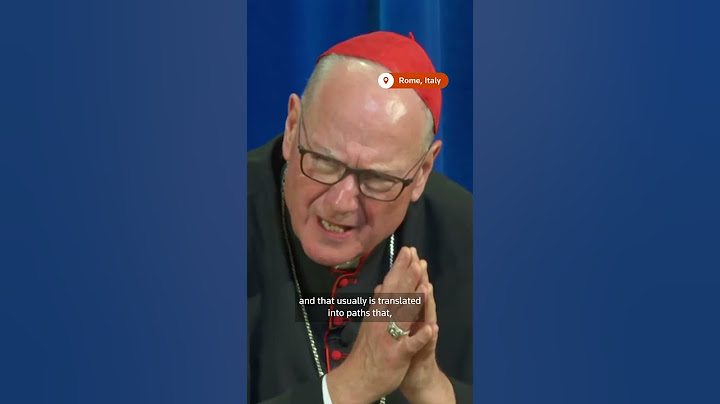 Cardinal reflects on conclave to elect Pope Leo