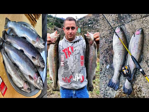 ორაგულზე \"კალმახზე\"  თევზაობა სპინინგით აჭარაში Part 2 Trout Fishing  Adjara