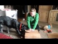 The new dog nip? - Nusentia Full Life Dog Food The new dog nip? - Nusentia Full Life Dog Food