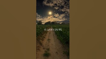 القارئ : عبد الرحمن مسعد ﴿إِنَّ الصَّلَاةَ تَنْهَىٰ عَنِ الْفَحْشَاءِ وَالْمُنكَرِ ﴾[ العنكبوت: 45]