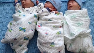 Rare identical triplets born in St. Clair Shores