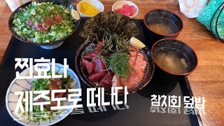 [제주도 맛집VLOG #2]참치회덮밥 마구로쇼쿠도 방문