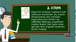 Zelulen Askotariko Zatiketa