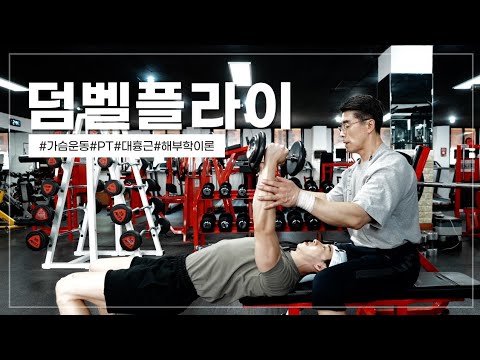 덤벨플라이(김명섭이 알려주는 덤벨위치.힘주는방법.원조인트방식의운동법) - Youtube