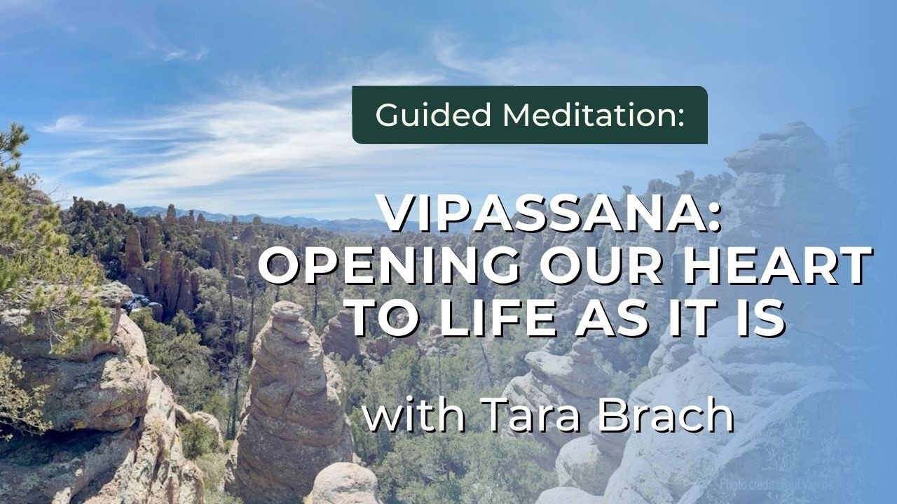 Vipassana Meditation: Opening Our Hearts to Life As It Is