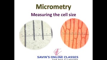 Micrometery : Measuring the cell size by ocular micrometer and stage micrometer